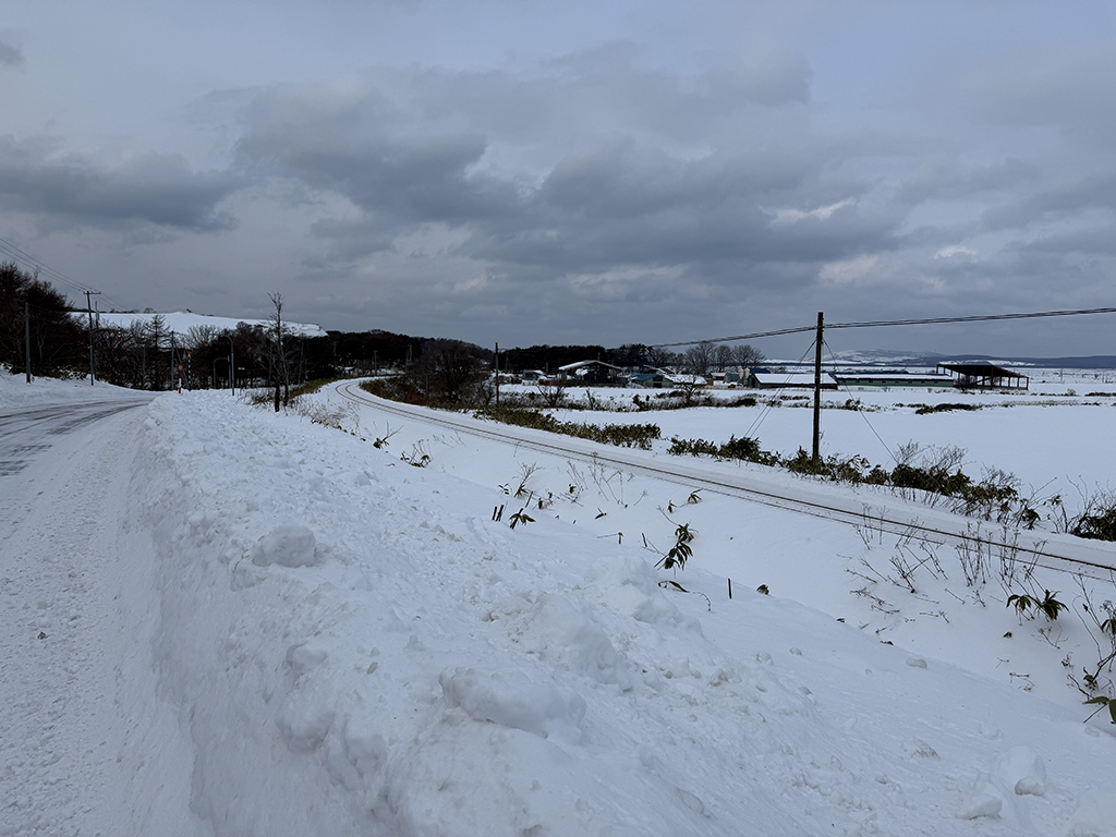 抜海カーブの線路際