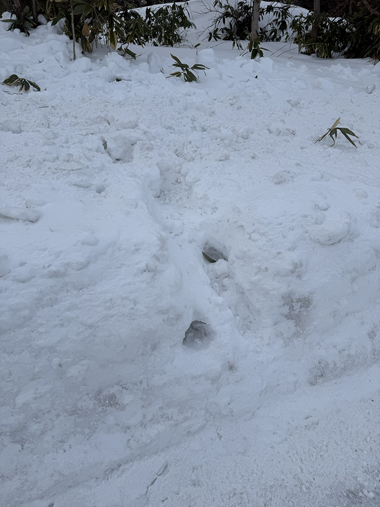 抜海カーブの道路の反対側