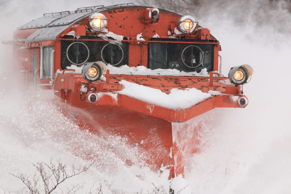 EOS R5 MarkII, RF100-500mm F4.5-7.1 L IS USM, 500mm, 1/1000, F8, ISO800