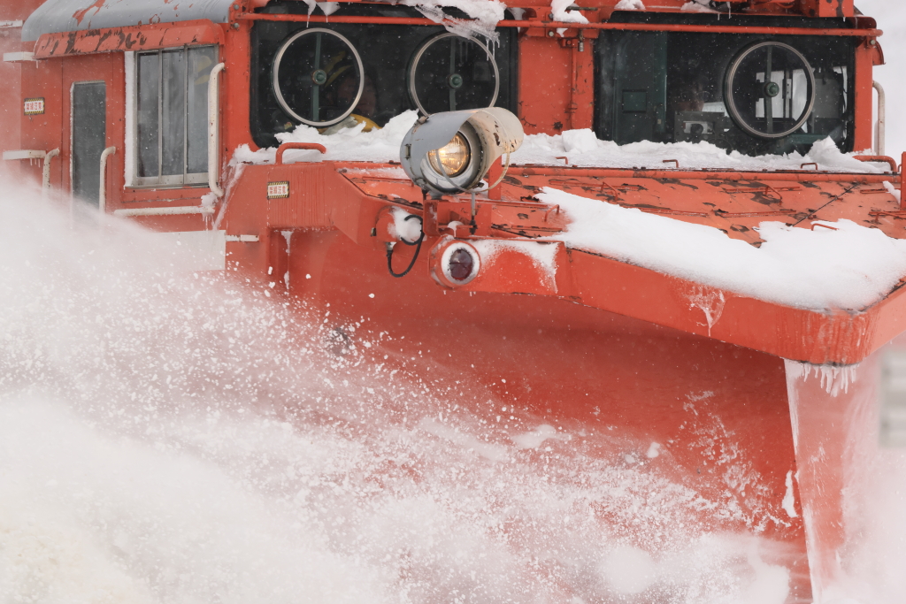 EOS R5 MarkII, RF100-500mm F4.5-7.1 L IS USM, 500mm, 1/1000, F8, ISO800