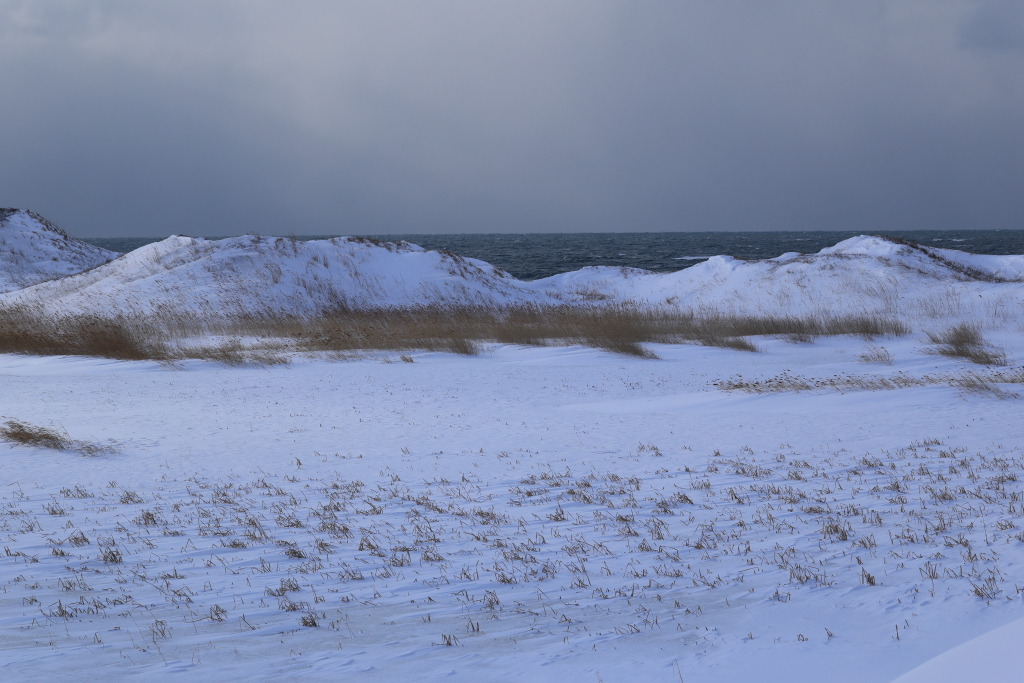稚内の丘陵地と日本海