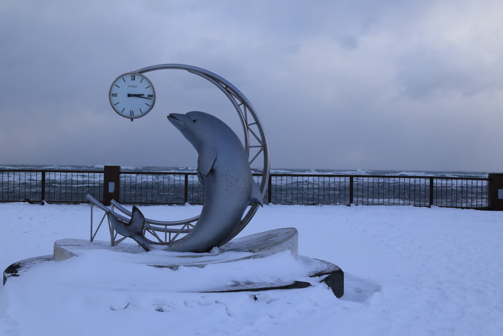 ノシャップ岬のイルカのモニュメント