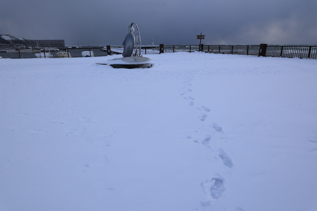 ノシャップ岬の広場は除雪されておらず
