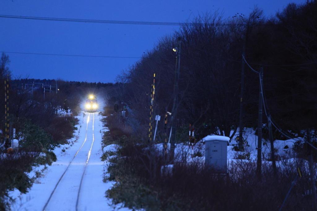 EOS R5 MarkII, RF100-500mm F4.5-7.1 L IS USM, 500mm, 1/60, F7.1, ISO5000