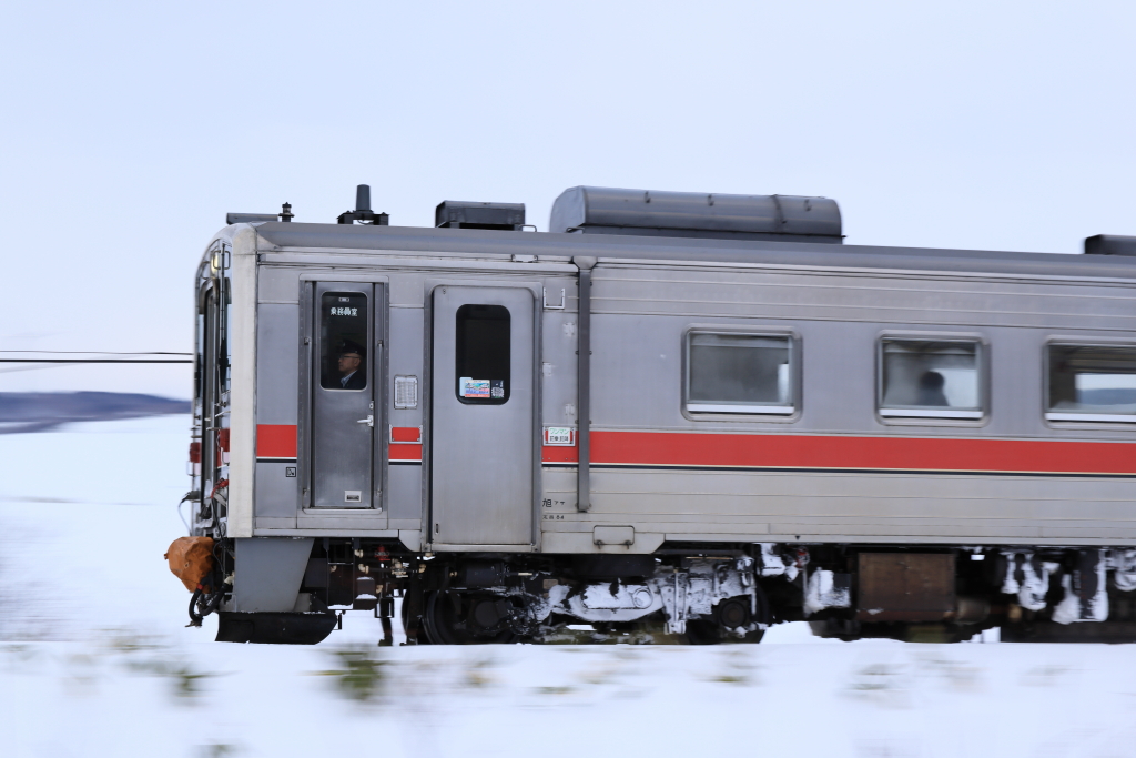 EOS R5 MarkII, RF24-105mm F2.8 L IS USM Z, 83mm, 1/60, F9, ISO200