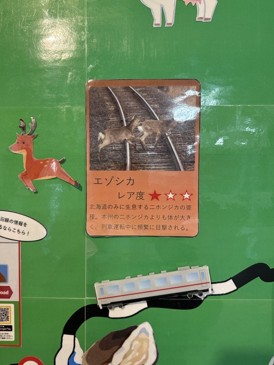 鹿のレア度