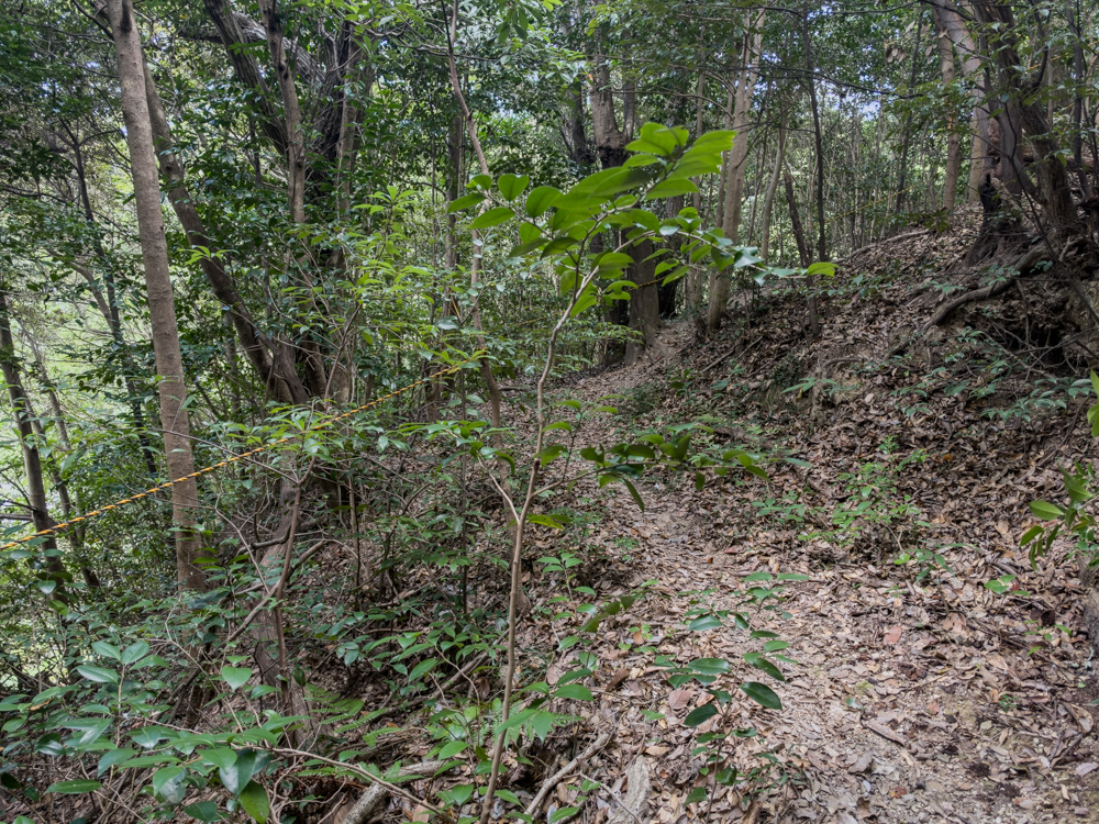 登山道